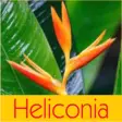 Icon of program: Heliconia