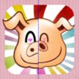 Icon of program: Face Symmetry Tester