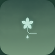 Icono de programa: Driproot  Zen Water Puzzl…