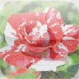 Icon of program: Photo Mosaic App