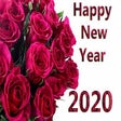 Icono de programa: Happy New Year 2020
