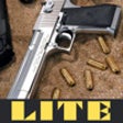 Icon of program: AAA GunBox Lite