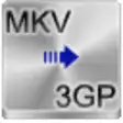 Icon of program: Free MKV to 3GP Converter