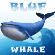 Icon of program: Blue Whale Simulator Mind…