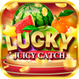 Icon of program: Juicy Lucky Catch