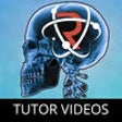 Icon of program: Revision App - Tutor Vide…