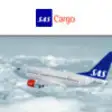 Icon of program: SAS Cargo
