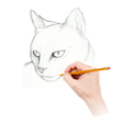 Icono de programa: How To Draw Warrior Cats