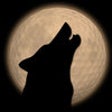 Icon of program: Wolf the Golf Game