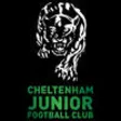Icon of program: Cheltenham Junior Footbal…