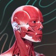 Icon of program: Easy Anatomy - Atlas & Qu…