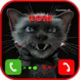 Icon of program: TOM fake call for cat pra…