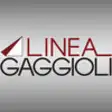 Icon of program: Gaggioli