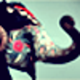 Icono de programa: The Best Spring Trips Gui…