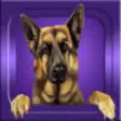 Icon of program: Guess it - Dog Breeds