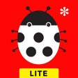Icon of program: Infant Zoo LITE: Visual S…