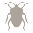 Icon of program: NWF Guide to Insects & Sp…