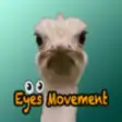 Icon of program: Eye movements with animal…