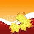 Icon of program: Autumn Frames PhotoFram.e…