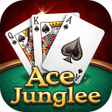 Icono de programa: Ace Junglee