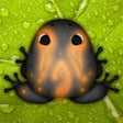 Icon of program: Pocket Frogs - Free pet f…