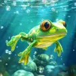 Icon of program: Pocket Frogs - Free pet f…