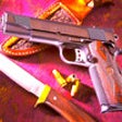 Icon of program: Zombie Hunter : The Survi…