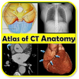 Icon of program: CT Scan Anatomy ATLAS