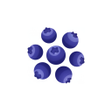 Icon of program: Snap2Calorie: AI Food Sca…