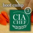 Icon of program: CIA Boot Camp 3