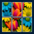 Icon of program: Fun Jigsolitaire : Jigsaw…