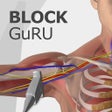 Icon of program: Block GuRU Lite