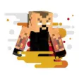 Icon of program: Skin WWE For Minecraft