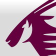 Icono de programa: Qatar Airways