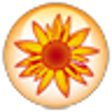 Icon of program: Studioline Photo Basic