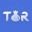 Icon of program: VPN+TOR Browser