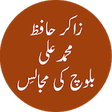 Icon of program: Hafiz Muhammad Ali Baloch