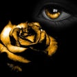 Icon of program: Black and Gold Wallpapers…
