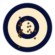 Icon of program: Orion Scoring System