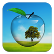 Icono de programa: PiP camera. Picture in pi…