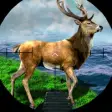 Icon of program: Trophy Buck Sniper: Deer …