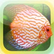 Icon of program: Tropical Fish Encyclopedi…