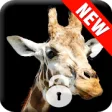 Icon of program: Giraffe Animal Lock