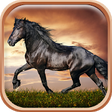 Icon of program: Horses Live Wallpaper HD