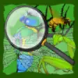 Icon of program: Find The Hidden Insects