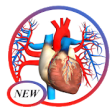 Icon of program: Human Anatomy 3D For Edic…