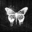 Icon of program: NZ Shapeshifter Monarch