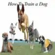 Icon of program: How To Train a Dog - Ulti…