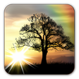 Icono de programa: Sun Rise Free Live Wallpa…