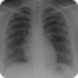 Icono de programa: Radiology Tutor